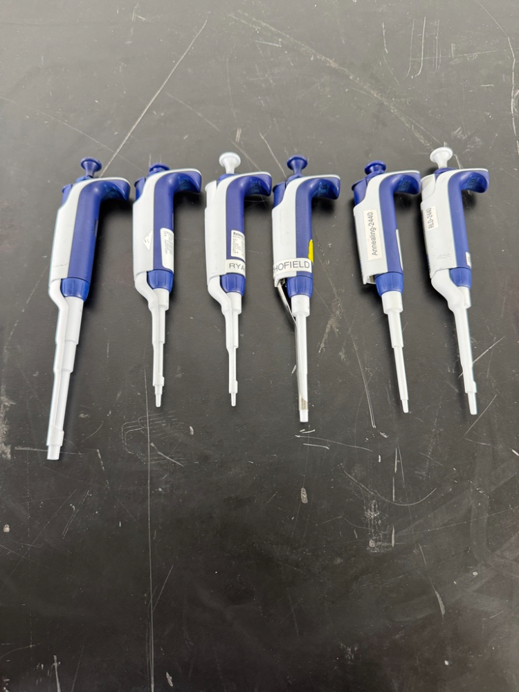 Image of Rainin Pipet-Lite XLS Single Channel Pipettes - Quantity 6